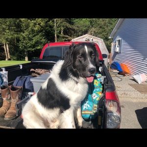 Meet your Posher, Shane